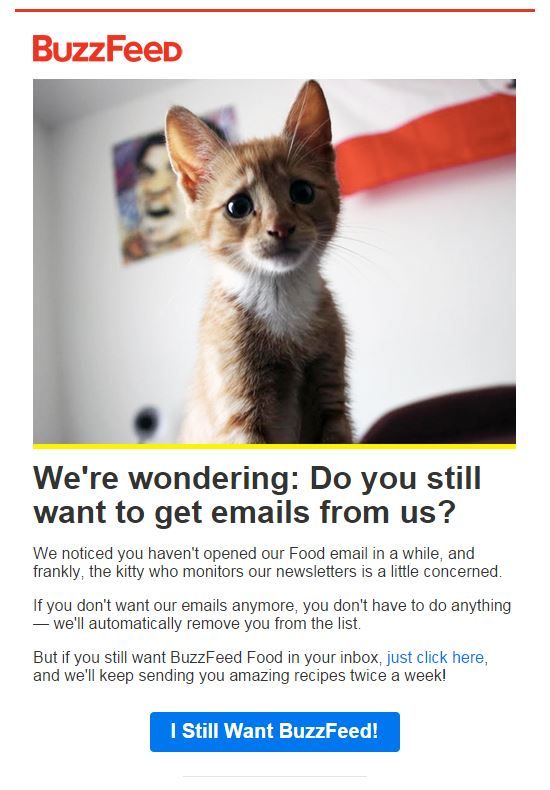 Buzzfeed-email