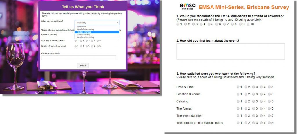 Example survey forms in Vision6